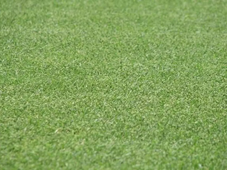 terreno industriale in vendita a San Gimignano