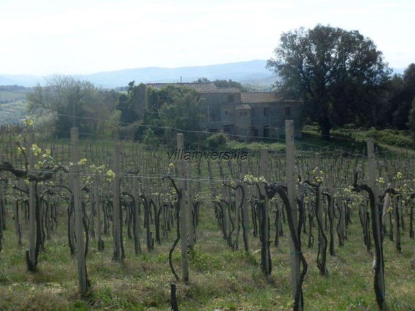 ufficio in vendita a San Gimignano