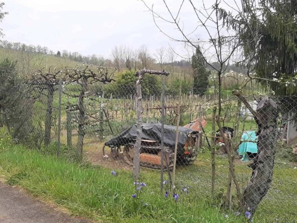 casa indipendente in vendita a San Gimignano