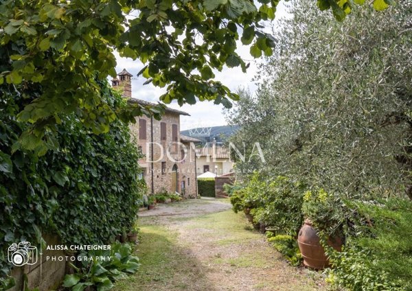 casale in vendita a San Gimignano