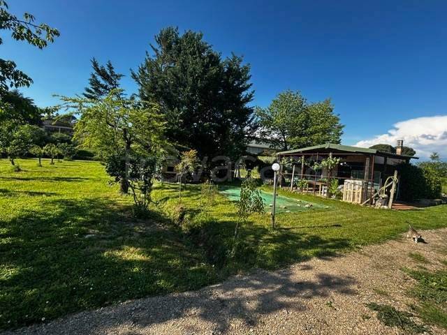 terreno agricolo in vendita a San Gimignano