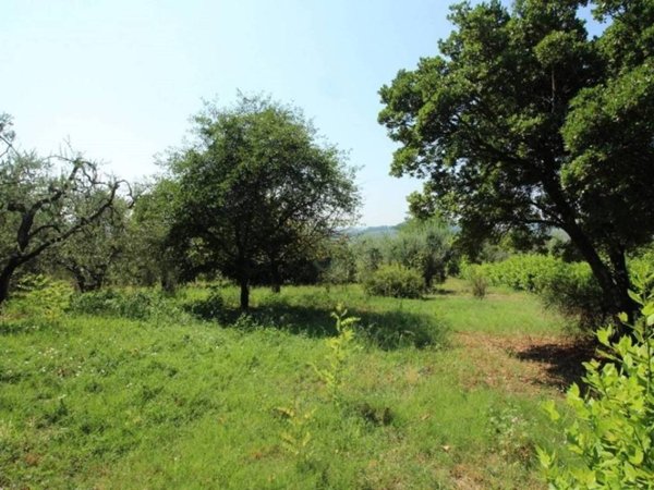 terreno agricolo in vendita a San Gimignano