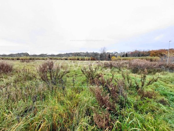 terreno industriale in vendita a San Gimignano