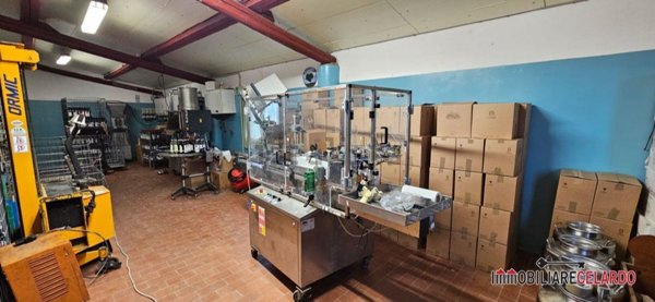 azienda agricola in vendita a San Gimignano