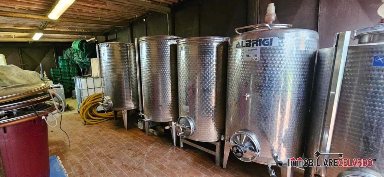 azienda agricola in vendita a San Gimignano