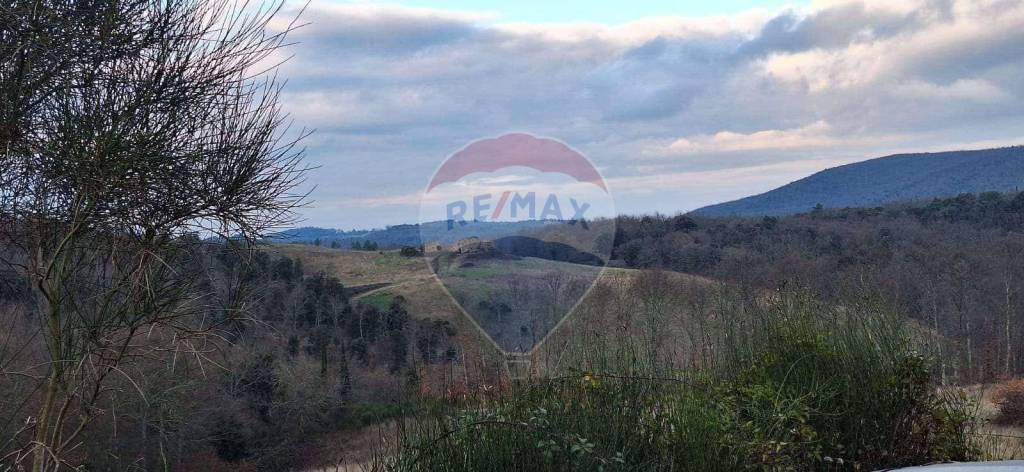 terreno agricolo in vendita a San Gimignano