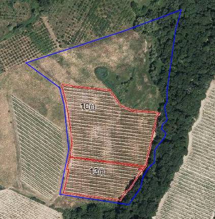 terreno agricolo in vendita a San Gimignano