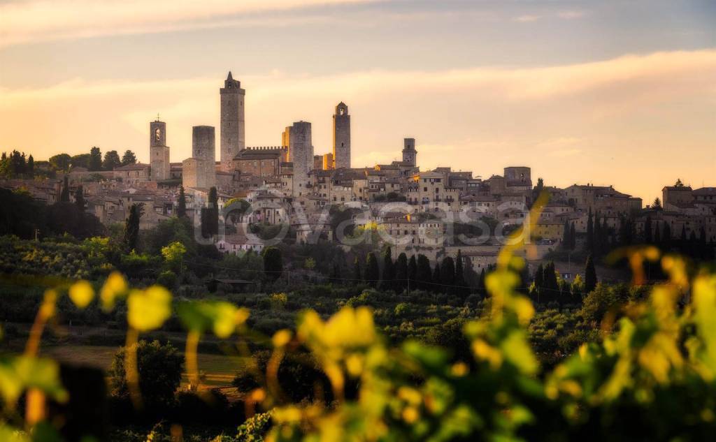 esavano in vendita a San Gimignano