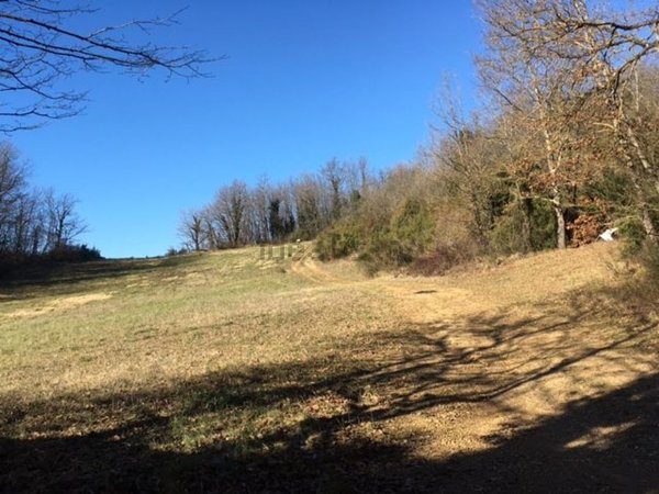 terreno agricolo in vendita a San Gimignano