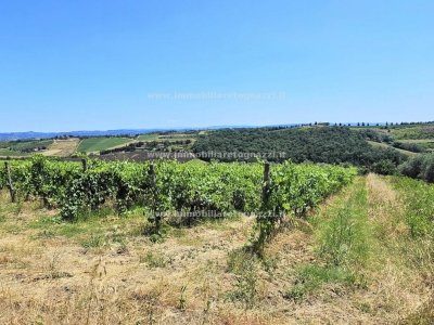 terreno agricolo in vendita a San Gimignano