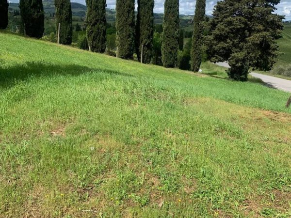 casa indipendente in vendita a San Gimignano