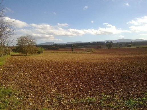 casa indipendente in vendita a San Gimignano