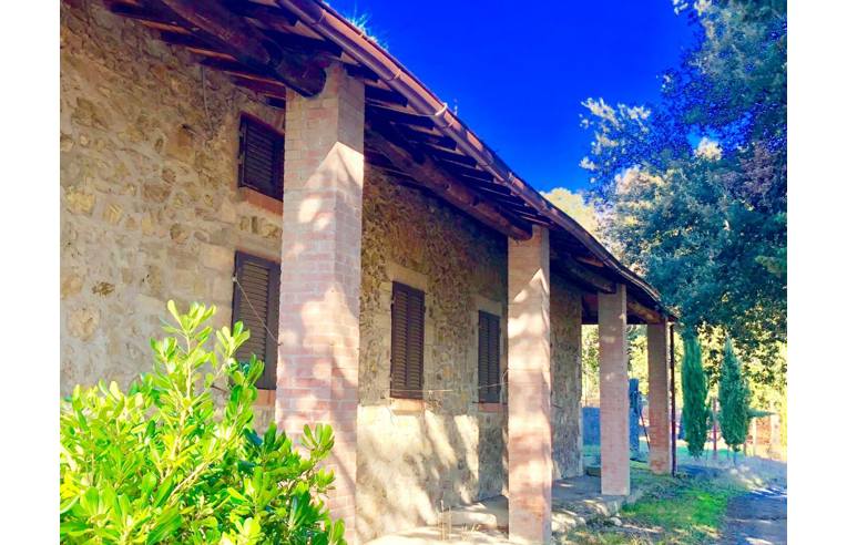 azienda agricola in vendita a San Gimignano