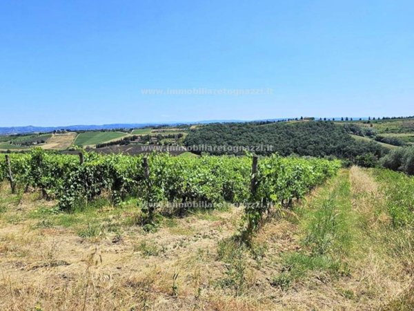 terreno agricolo in vendita a San Gimignano