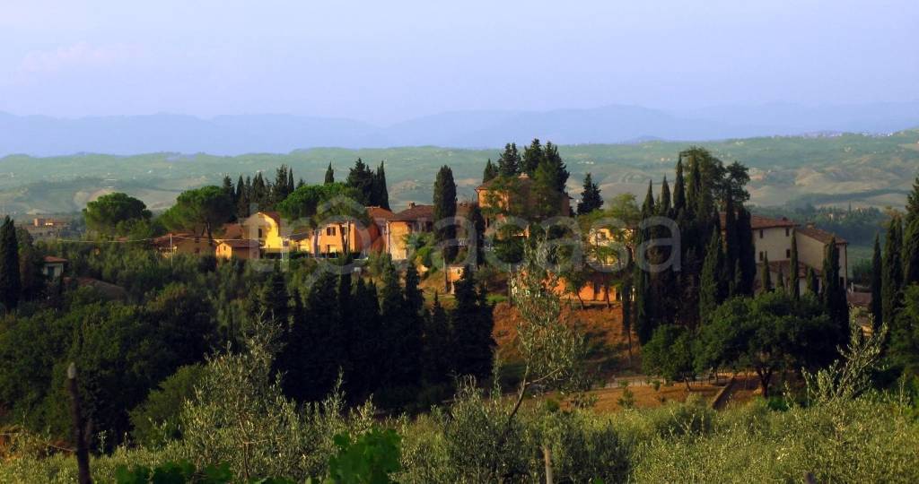 azienda agricola in vendita a San Gimignano