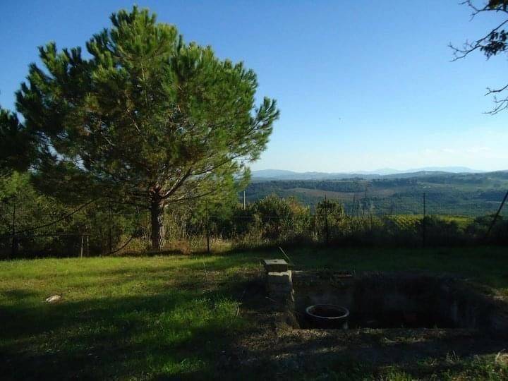 terreno agricolo in vendita a San Gimignano