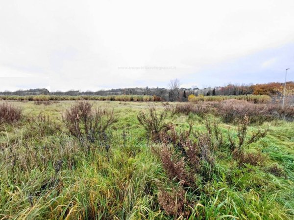terreno agricolo in vendita a San Gimignano
