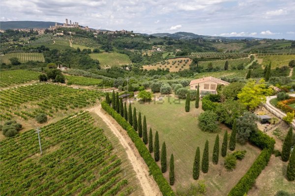 esavano in vendita a San Gimignano