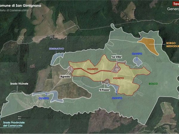 negozio in vendita a San Gimignano