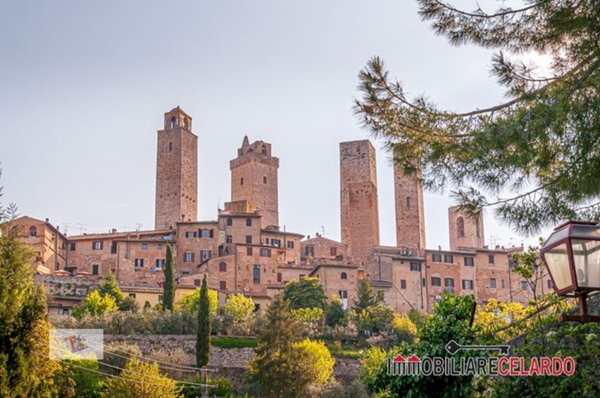 azienda agricola in vendita a San Gimignano