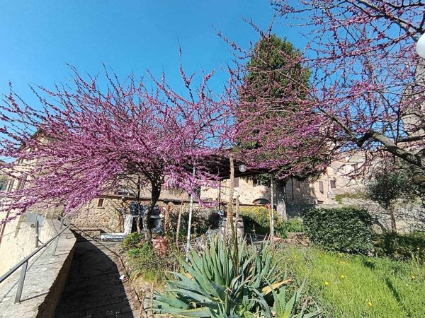 appartamento in vendita a San Gimignano