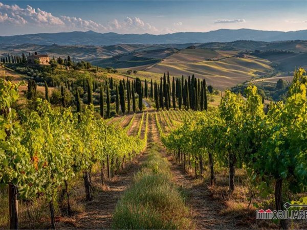 negozio in vendita a San Gimignano