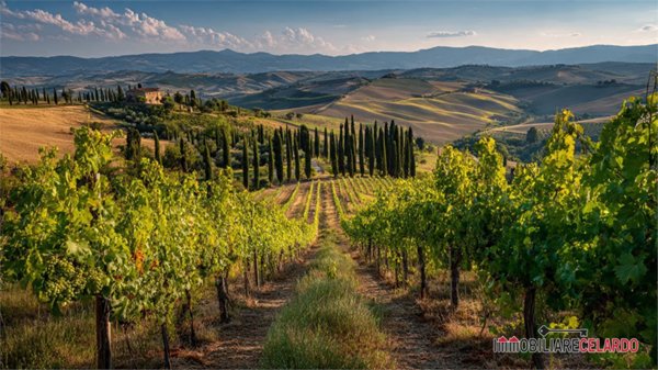 azienda agricola in vendita a San Gimignano