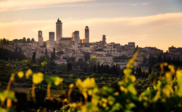 esavano in vendita a San Gimignano