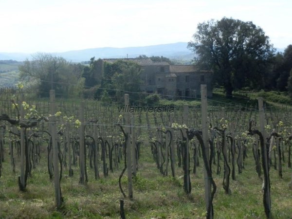 immagine annuncio 0 di 15
