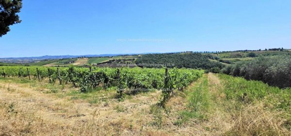 terreno in vendita a San Gimignano