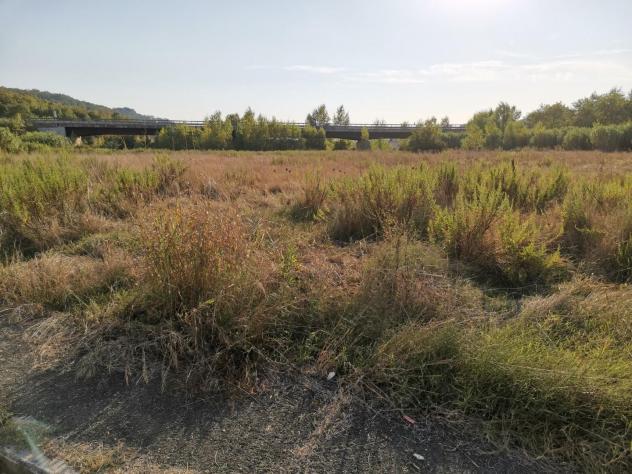 terreno in vendita a San Gimignano