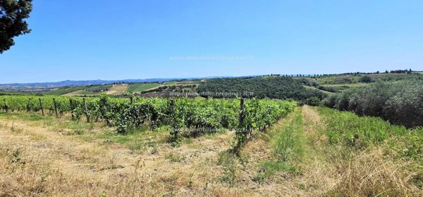 terreno in vendita a San Gimignano