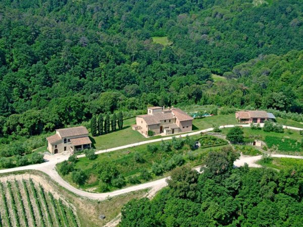 azienda agricola in vendita a San Gimignano