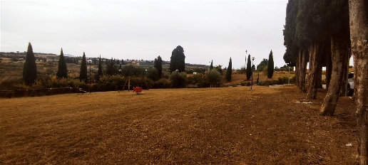appartamento in vendita a San Quirico d'Orcia