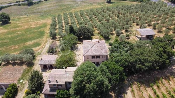 negozio in vendita a San Quirico d'Orcia