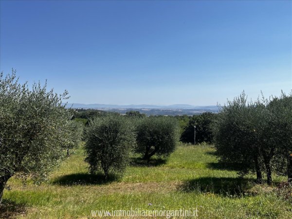 terreno agricolo in vendita a Sarteano