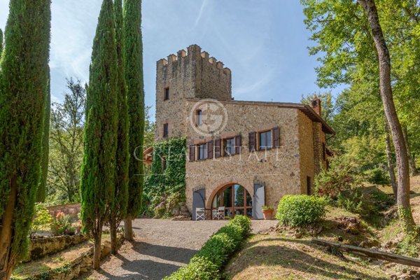 esavano in vendita a Sarteano