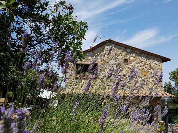 casa indipendente in vendita a Sarteano