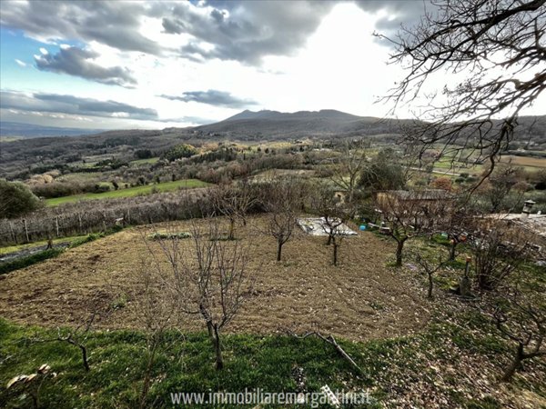 locale di sgombero in vendita a Sarteano