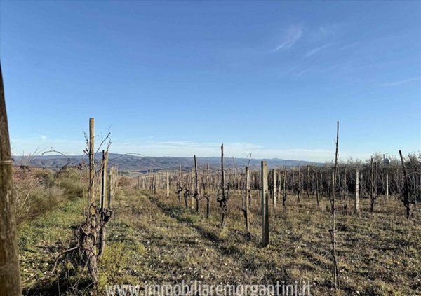 terreno agricolo in vendita a Sarteano