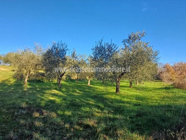 terreno agricolo in vendita a Sarteano