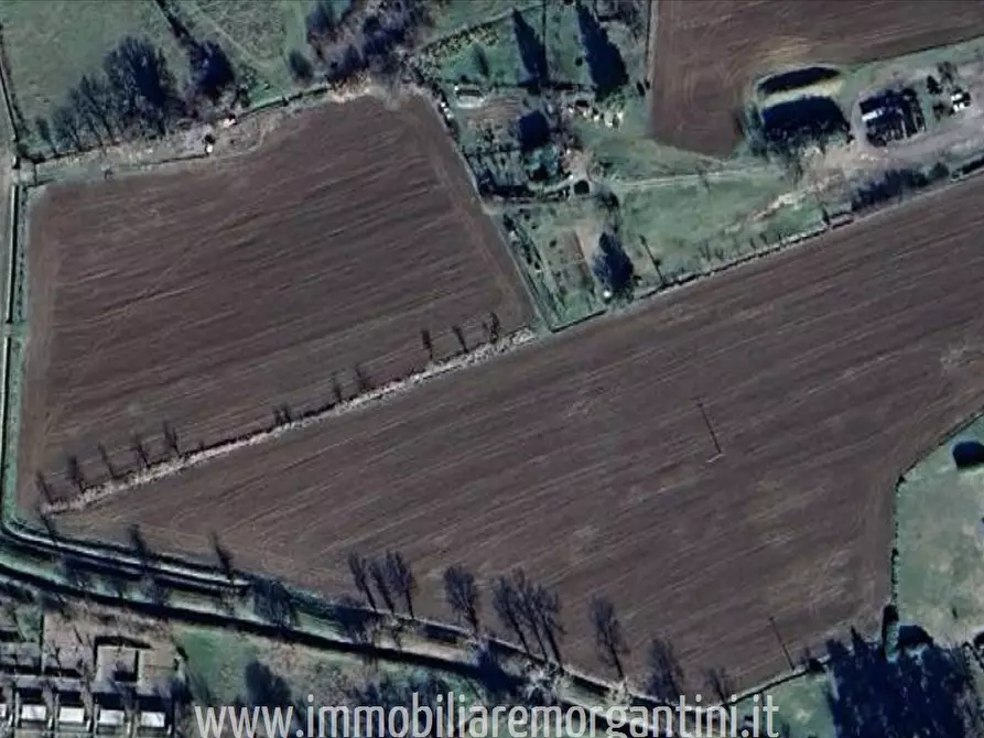 terreno agricolo in vendita a Sarteano