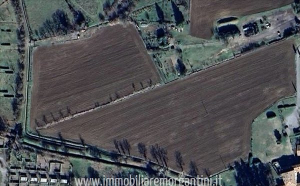 terreno agricolo in vendita a Sarteano