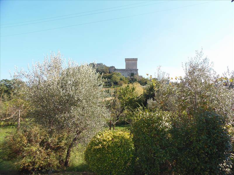 intera palazzina in vendita a Sarteano