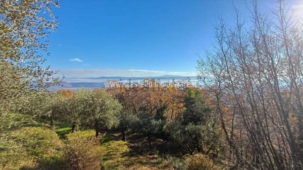 terreno agricolo in vendita a Sarteano