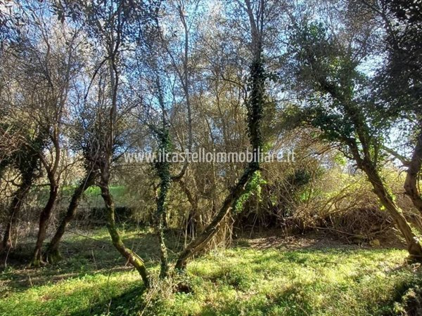 terreno agricolo in vendita a Sarteano