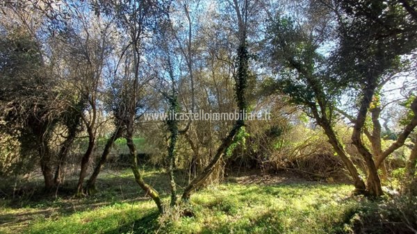 terreno agricolo in vendita a Sarteano