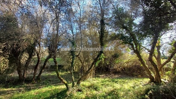 terreno agricolo in vendita a Sarteano