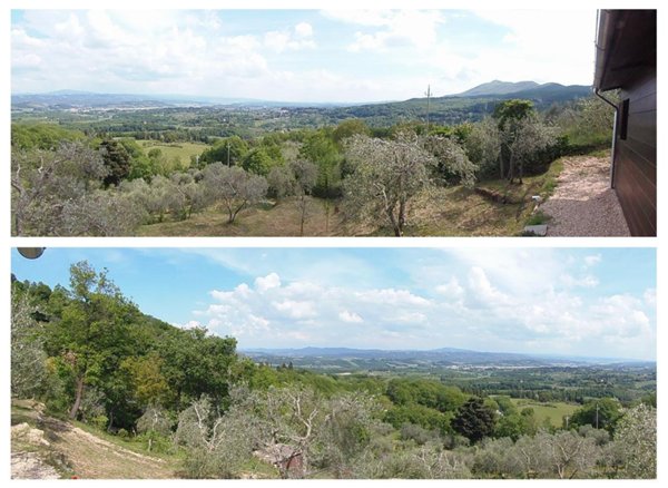 terreno agricolo in vendita a Sarteano