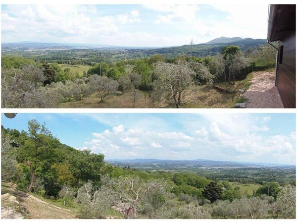 terreno agricolo in vendita a Sarteano